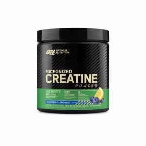 Optimum Nutrition Micronized Creatine Powder Blueberry Lemonade 0.79 lb (60 Servings) Indonesia | 42673-DGLO