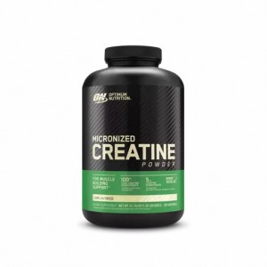 Optimum Nutrition Micronized Creatine Powder Unflavored 1.32 lb (120 Servings) Indonesia | 70618-ODZJ